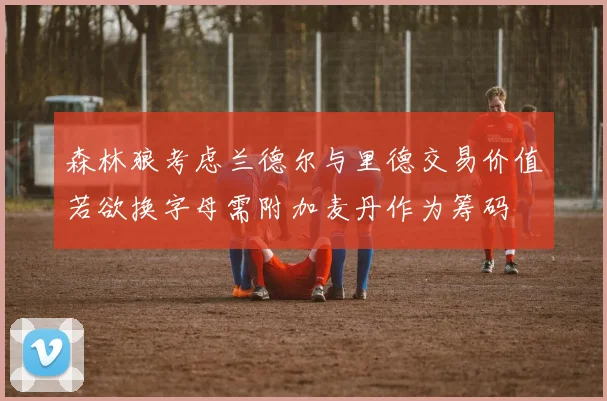 森林狼考虑兰德尔与里德交易价值若欲换字母需附加麦丹作为筹码
