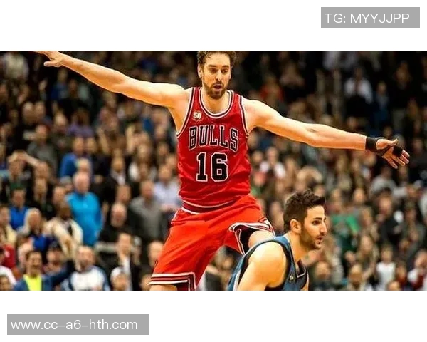 雄鹿能否找到字母的加索尔来填补科比留住后的空缺